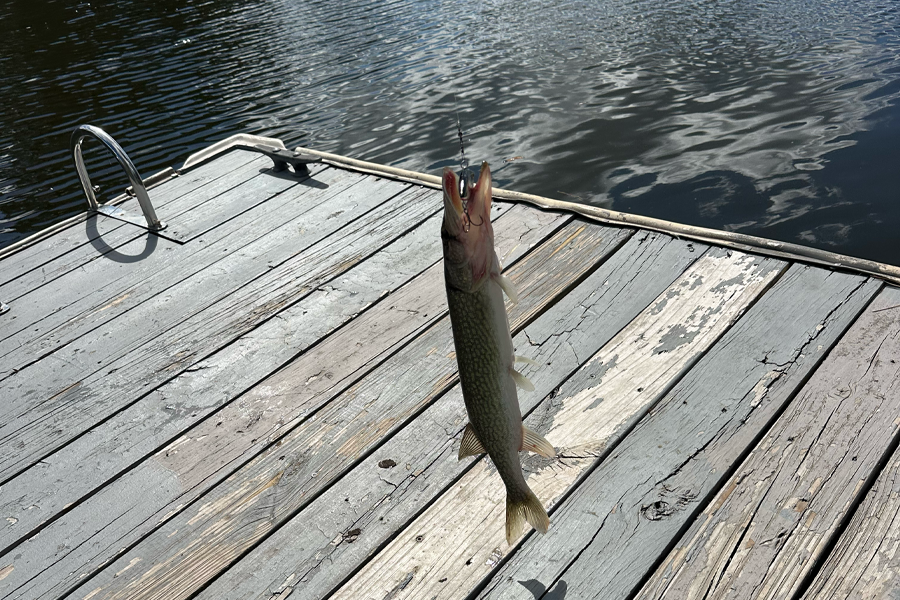 A Guide to Winter Fishing at Lake Murray